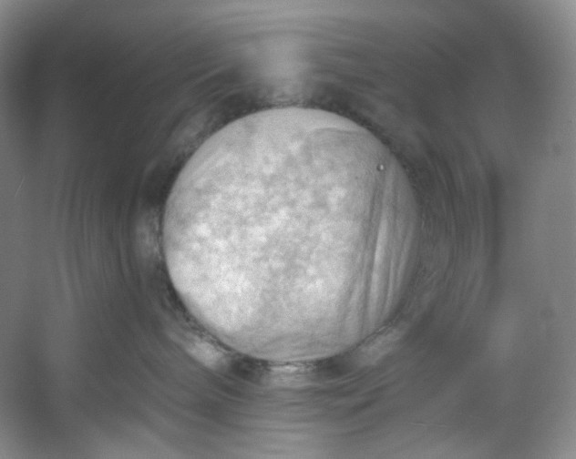 X0000053080240200507251534