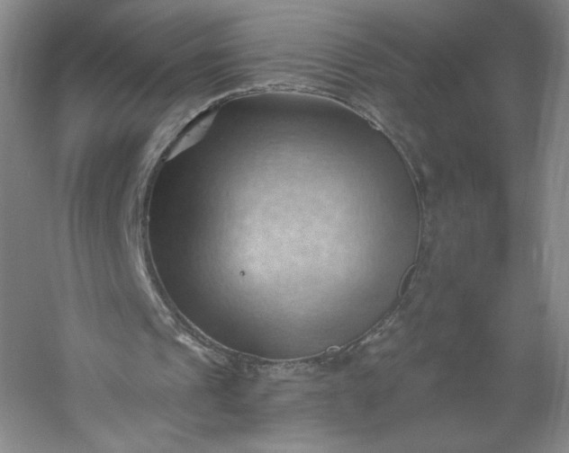X0000053080241200507251533