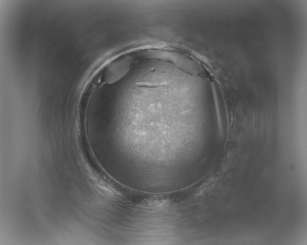 X0000053080247200507251533