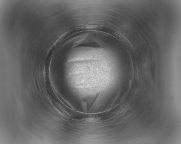 X0000053080251200507251533