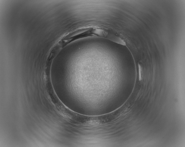 X0000053080252200507251533