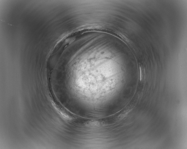 X0000053080253200507251533