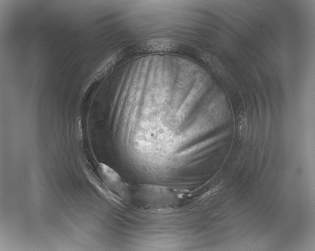 X0000053080254200507251533