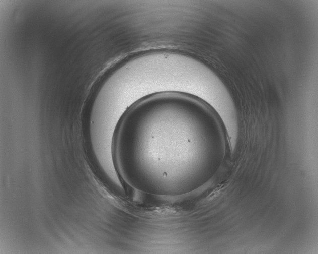 X0000053080256200507251533