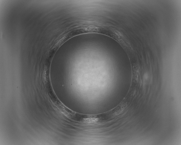 X0000053080266200507251533