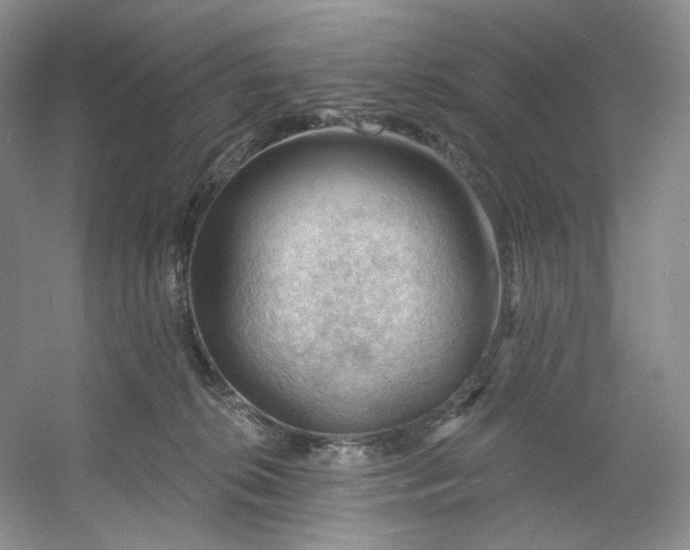 X0000053080276200507251534