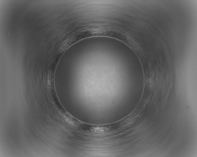 X0000053080277200507251534