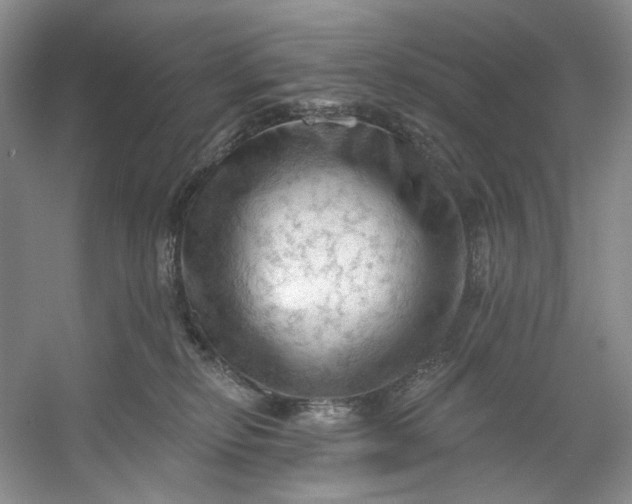 X0000053080278200507251534