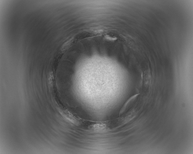X0000053080279200507251534