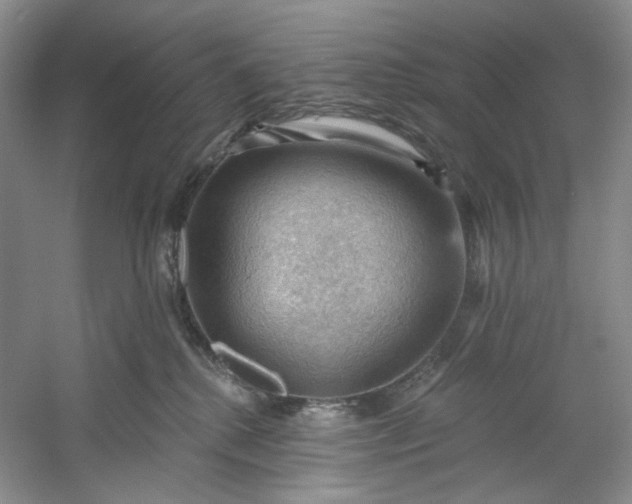 X0000053080280200507251534
