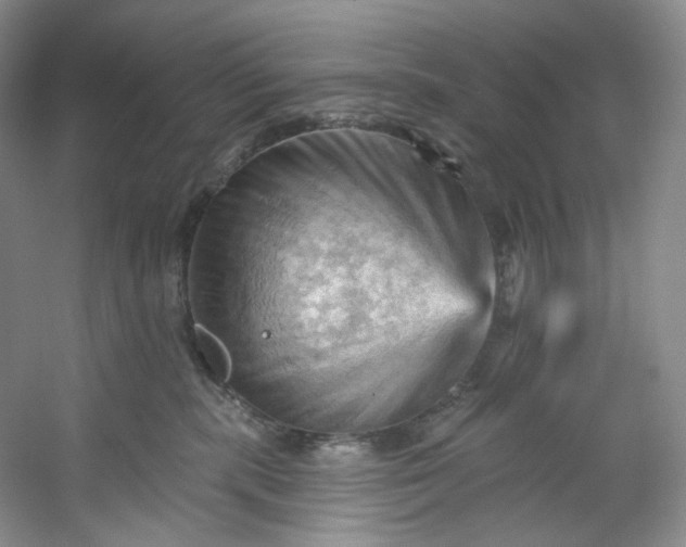 X0000053080283200507251534