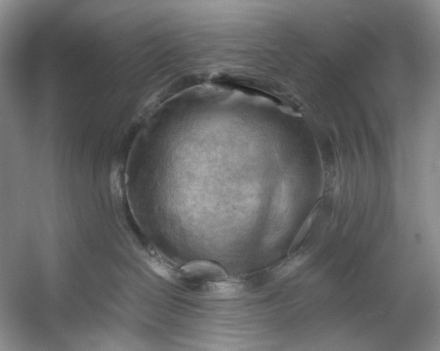 X0000053080286200507251534