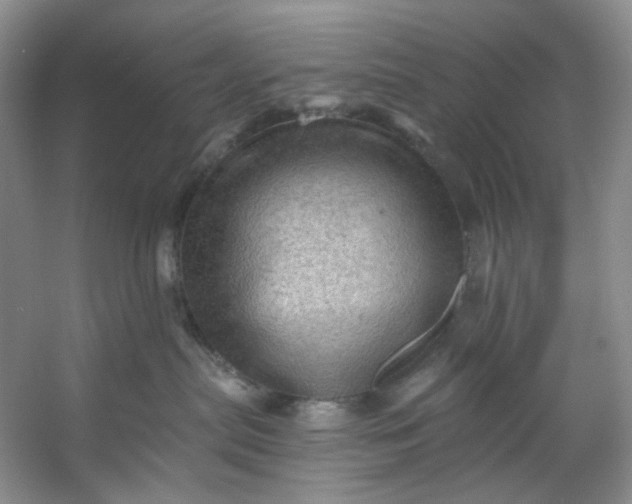X0000053080287200507251534