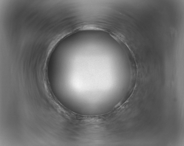 X0000053080289200507251533