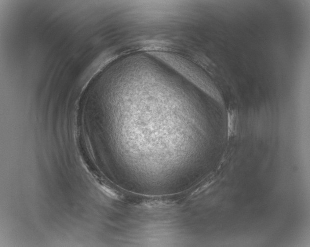 X0000053080291200507251533