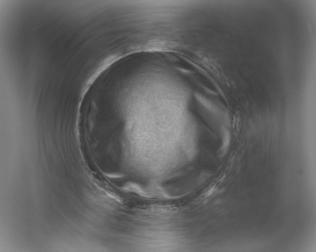 X0000053080292200507251533