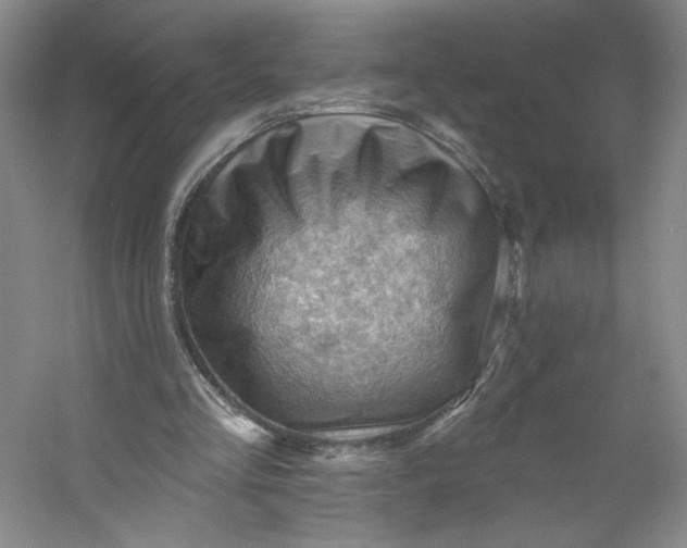 X0000053080293200507251533