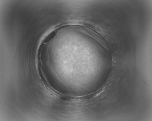 X0000053080294200507251533