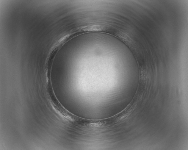 X0000053080302200507251533