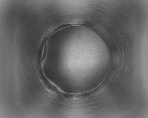 X0000053080303200507251533