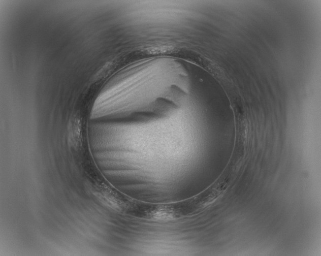 X0000053080308200507251533