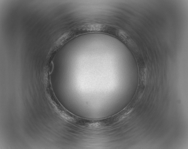X0000053080309200507251533
