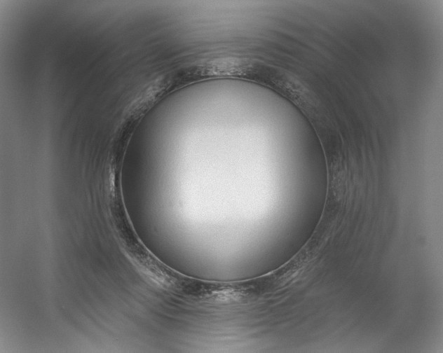X0000053080310200507251533