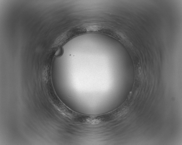 X0000053080311200507251533