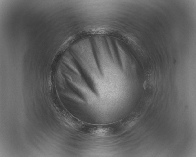 X0000053080312200507251533
