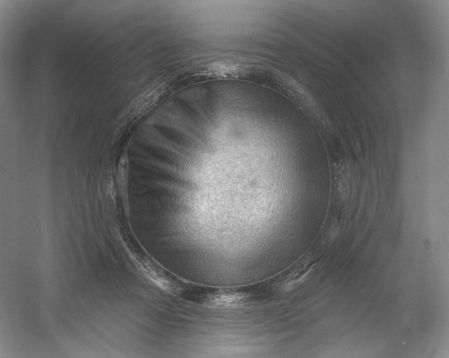 X0000053080313200507251533