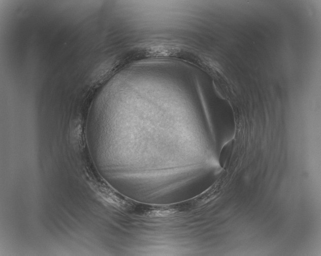 X0000053080314200507251533