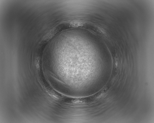 X0000053080315200507251533