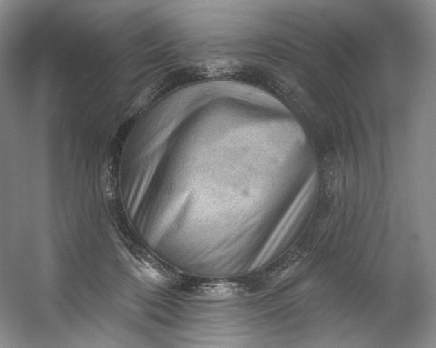 X0000053080316200507251533