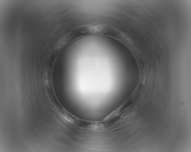 X0000053080317200507251533