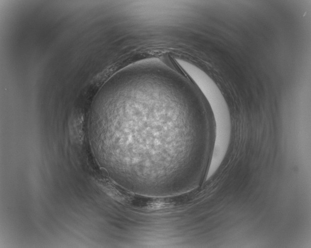 X0000053080319200507251532