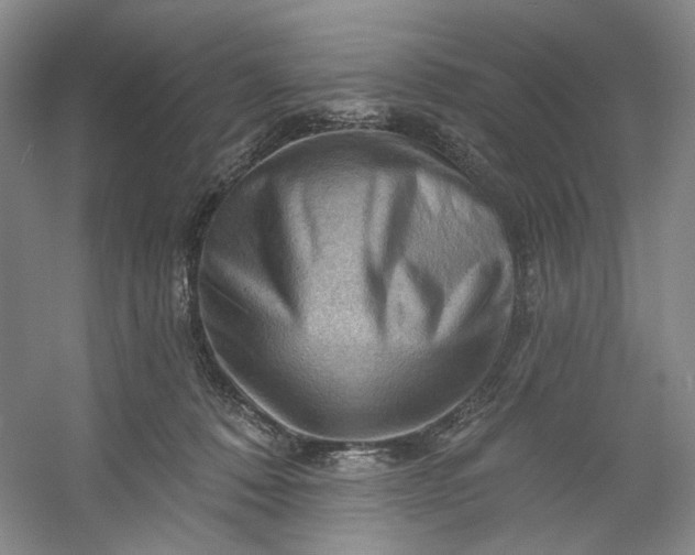 X0000053080320200507251532