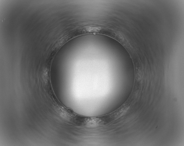 X0000053080321200507251532