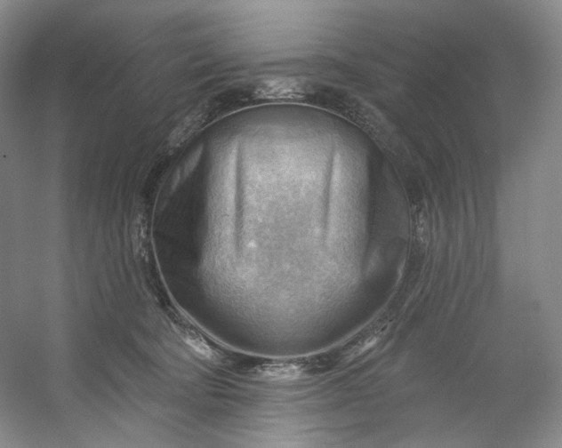 X0000053080322200507251532