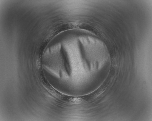 X0000053080324200507251532