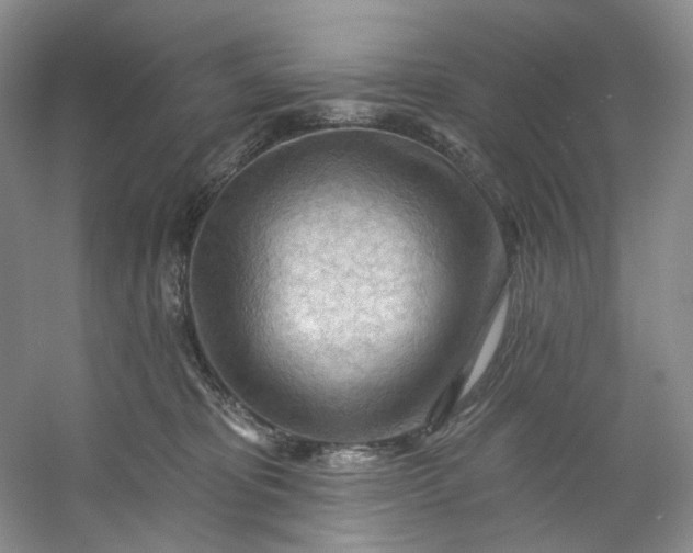 X0000053080325200507251532