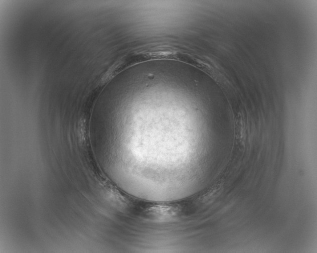 X0000053080326200507251532