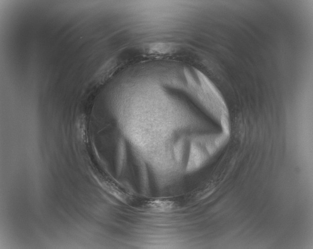 X0000053080328200507251532