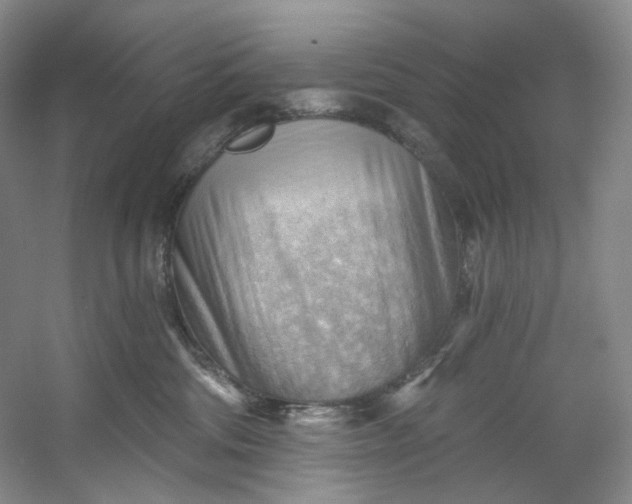 X0000053080330200507251532