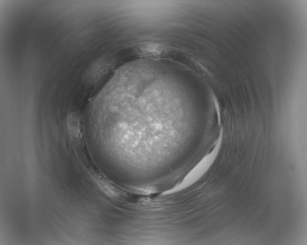 X0000053080331200507251532
