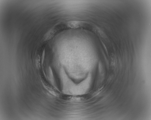 X0000053080332200507251532