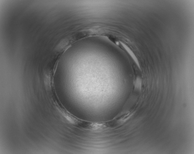 X0000053080333200507251532