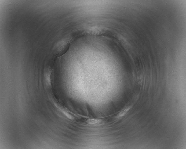 X0000053080334200507251532
