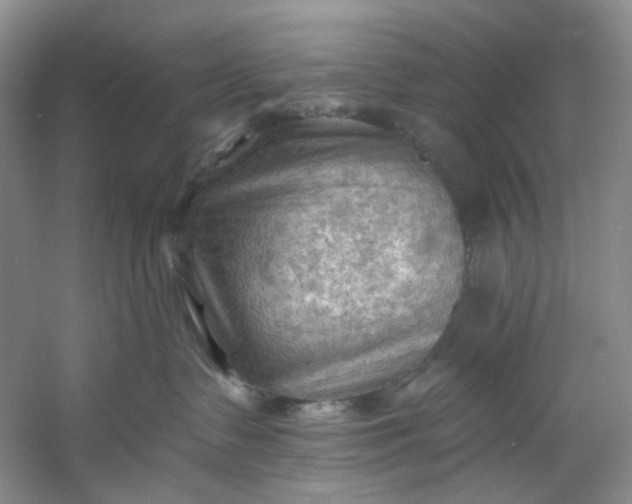 X0000053080335200507251532