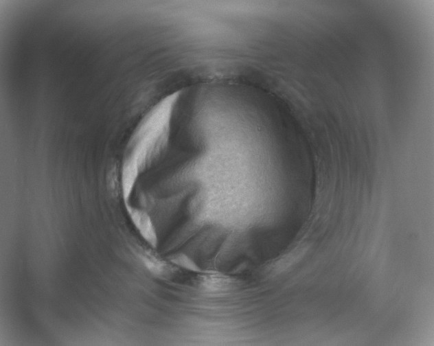 X0000053080336200507251532