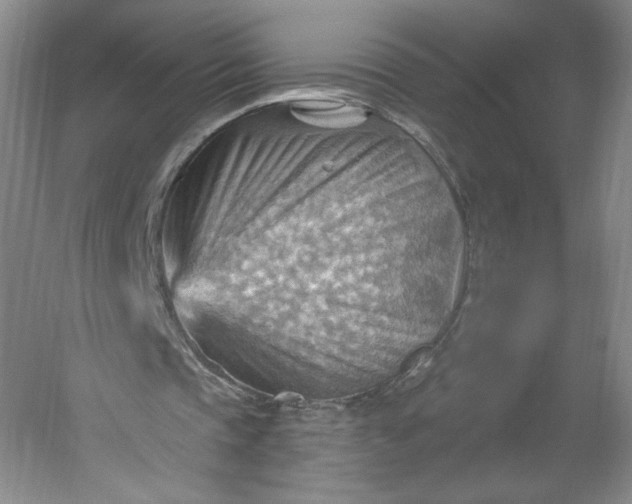 X0000053080337200507251531